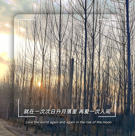 2025澳门历史记录查询免费