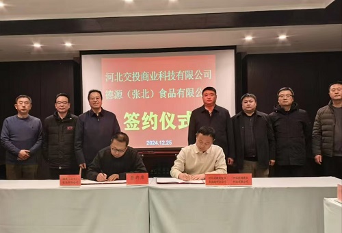 2025澳门历史记录查询免费