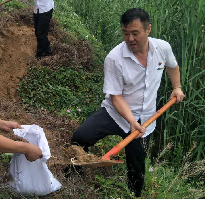 2025澳门历史记录查询免费