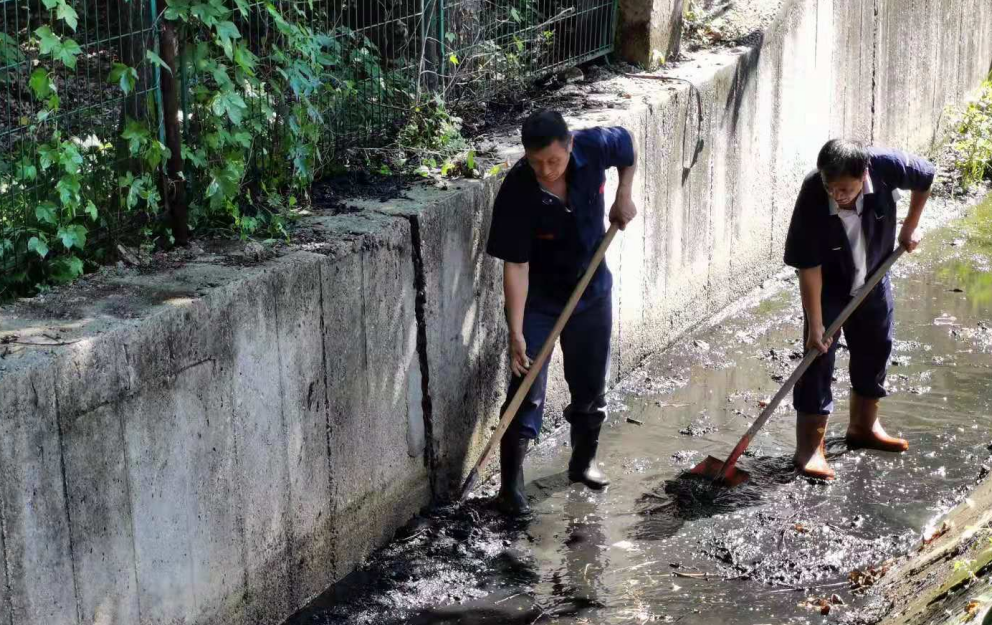 2025澳门历史记录查询免费