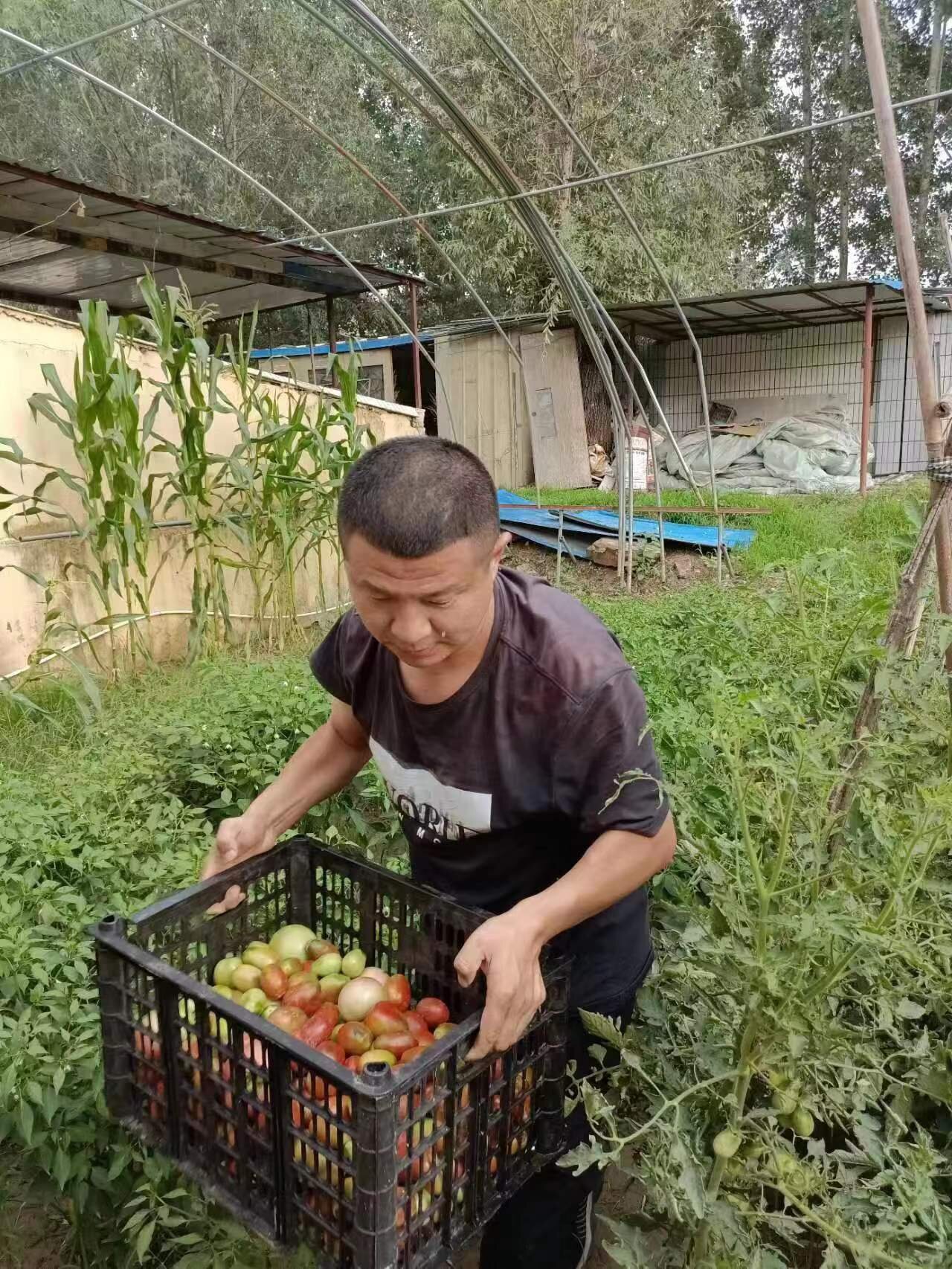 C:\Users\86183\Desktop\微信图片_202210251107505_proc.jpg 2025澳门历史记录查询免费