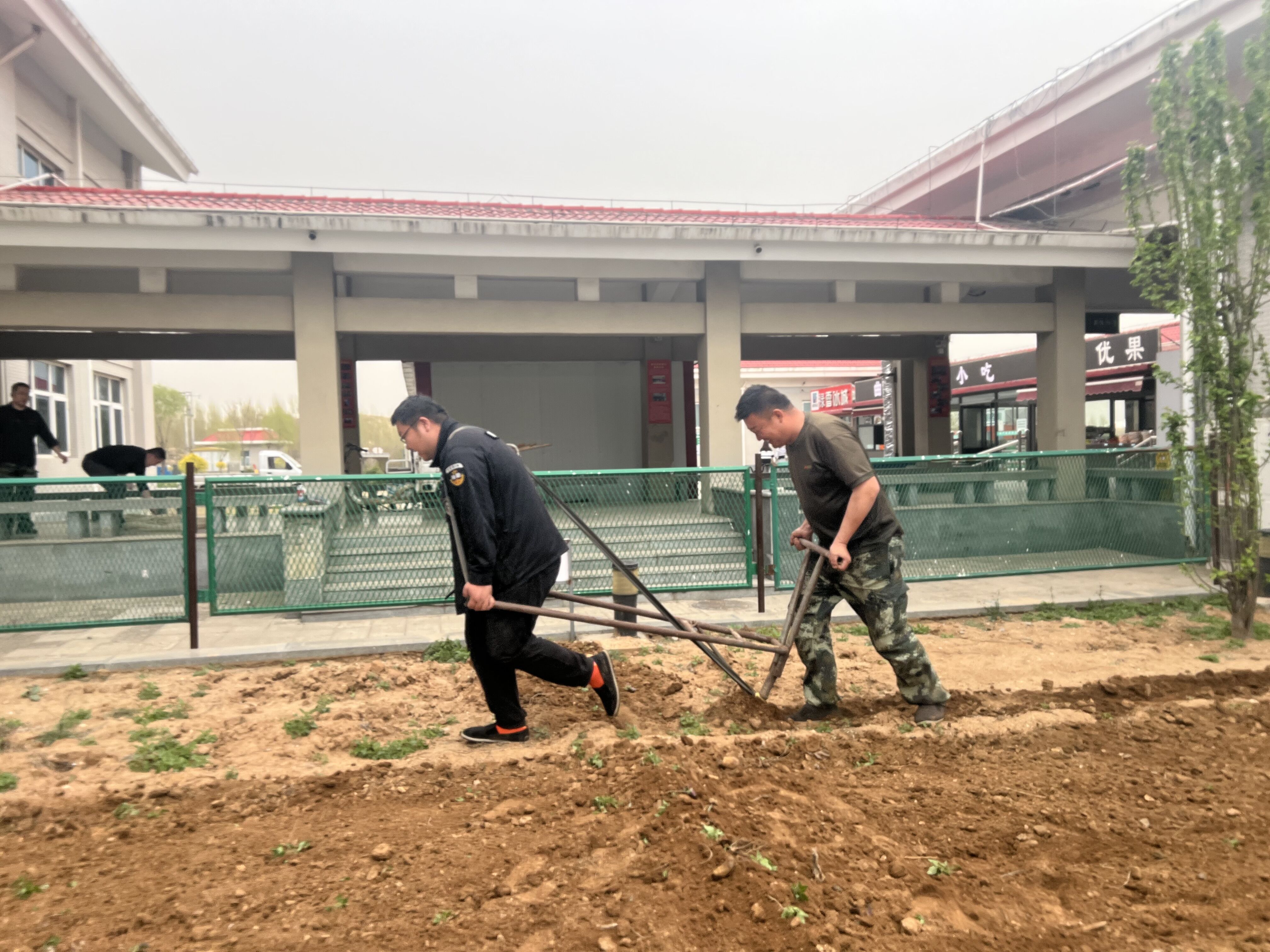 2025澳门历史记录查询免费