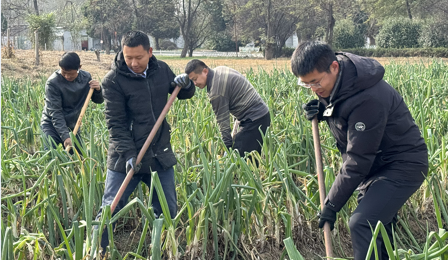 C:\Users\86183\Desktop\1699864525151.png 2025澳门历史记录查询免费