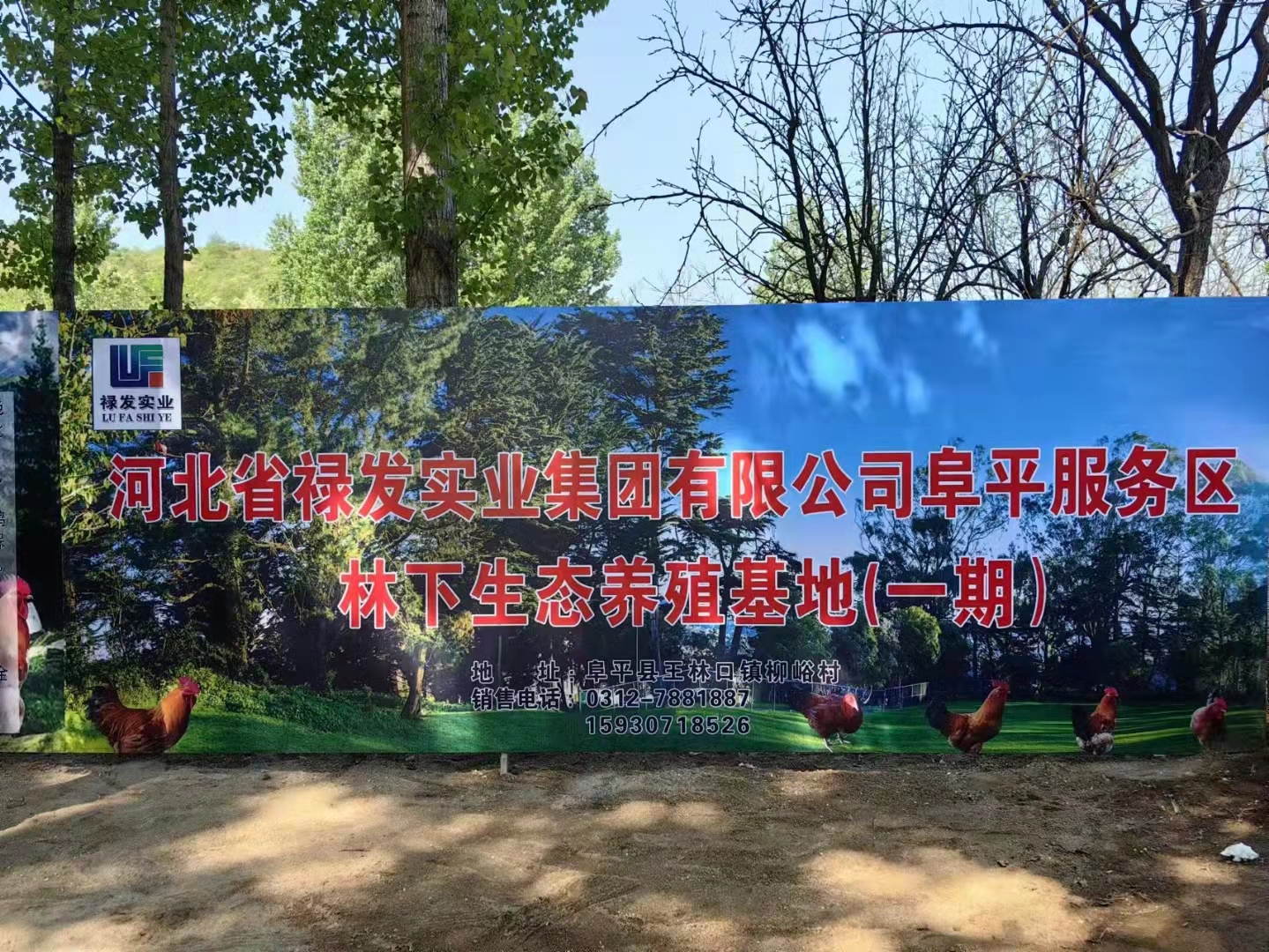 2025澳门历史记录查询免费
