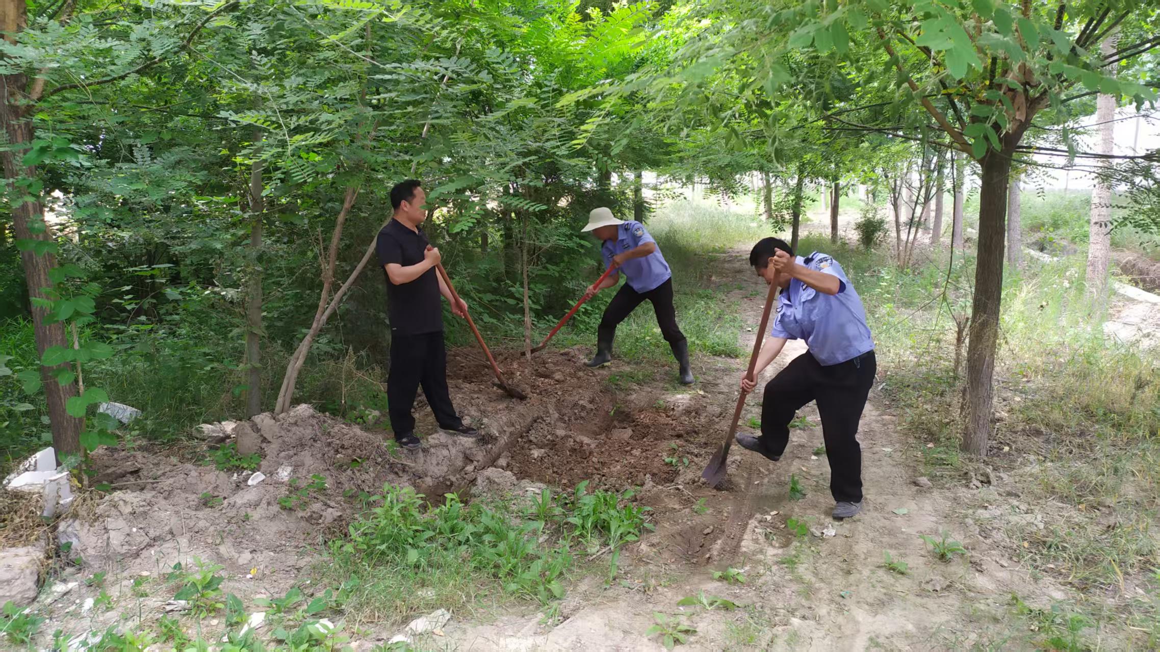 微信图片_20250605111223.jpg 2025澳门历史记录查询免费